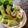 Cooksnap dari iiswatizain untuk resep Lumpia Sayur Gluten Free