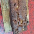 El cooksnap de laproferojas184 cuando hizo Tarta de atún.