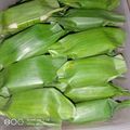 Cooksnap dari Bunda Achaa untuk resep Lemper Abon