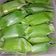 Cooksnap dari Bunda Achaa untuk resep Lemper Abon