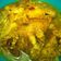 Cooksnap dari Rr's Kitchen untuk resep Nila Bumbu Kuning