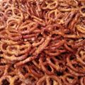 greta6525's cooksnap of when they made spicey pretzels.