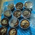 Cooksnap dari Niaaries untuk resep 460. Donat Kukus Lumer