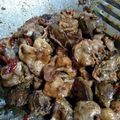 Cooksnap dari Tias Ayu Legacy untuk resep Sambal Goreng Ati Ampela Ayam