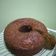 Cooksnap dari asri wahyuningrum untuk resep Banana cake moist (no mixer)