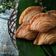 Cooksnap dari Yuyun Heriyantie untuk resep Karipap Pusing