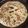 Neha Tyagi का कुकस्नैप जब उन्होंने आलू का पराठा (Aloo ka paratha recipe in hindi) बनाया था।