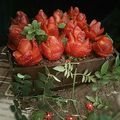 صورة من شهد رحمة من كوكباد 🇩🇿، شاركها بعد تجربة وصفة تحلية نبتة الفراولة 🍓🍓🍓