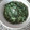 El cooksnap de Vanesa Mayoral López-Rey cuando hizo Espinacas a la crema🍃.
