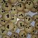 Cooksnap dari Rizqi Khoirunnisa untuk resep Chocochip Butter Cookies cocok untuk pemula (#pr_kuekering)