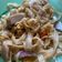 Cooksnap dari Putri Noviarin Irhamna untuk resep Kwetiau goreng pedas