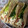 El cooksnap de Eva cuando hizo 79. Tacos de ternera picada estilo mejicano.