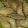 Cooksnap dari Novita Sari untuk resep Pempek Dos kapal selam(telor besar)#5resepterbaruku