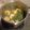 Cooksnap dari Hillary Susan Aipassa untuk resep Sayur Bening