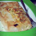 Cooksnap dari Bunda Fitria untuk resep Martabak telur isi daging ayam