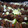 Afaafy's Kitchen's cooksnap of when they made Tsire.