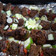 Afaafy's Kitchen's cooksnap of when they made Tsire.