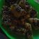 Cooksnap dari Yusnita Nur Fadhilah untuk resep Proll Tape