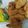 Cooksnap dari yaumil Amalia untuk resep Ayam kentucky yang super duper krispy