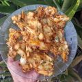 Cooksnap dari Vita Ruriyani untuk resep Bakwan sayur garing