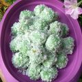 Cooksnap dari Ari Yully Susanti untuk resep Klepon