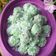 Cooksnap dari Ari Yully Susanti untuk resep Klepon