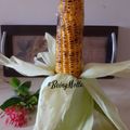 Jasmin Motta _ #BeingMotta का कुकस्नैप जब उन्होंने भुट्टा (मक्का) (Bhutta (Makka) recipe in Hindi) बनाया था।