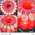 Cooksnap dari Silvina Arifin untuk resep Puding kelapa cocopandan