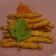 Cooksnap dari Detektif Qiu untuk resep Cheese potato