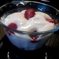 Brenda M. Castillo 's cooksnap of when they made Instant Pot Yogurt.