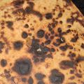 Krisha Jain का कुकस्नैप जब उन्होंने बथुआ आलू पराठा(bathua aloo paratha recipe in hindi) बनाया था।