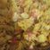 Seema Gupta का कुकस्नैप जब उन्होंने आलू पत्ता गोभी (Aloo patta gobhi recipe in hindi) बनाया था।