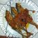 Cooksnap dari Lelyta Salsa untuk resep Seblak ikan kembung