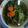 Cooksnap dari VALEN PANDU untuk resep Sayur Bayam Bening