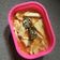 Cooksnap dari Siti Kulsum untuk resep Gulai Cubadak/Nangka ala RM Padang