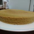 El cooksnap de Ana Paula cuando hizo Torta!!( sin huevos,sin Leche y sin manteca).