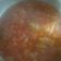 El cooksnap de patri cuando hizo Salsa fileto.