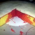 ItWasntShu's cooksnap of when they made Round Rainbow Cake.
