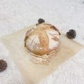 Yi-ti Yang 的 藍莓果乾鄉村麵包（天然酵母） cooksnap