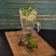 Cooksnap dari Dara Home Cooking untuk resep Virgin mojito mint