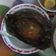 Cooksnap dari novriyani untuk resep Pepes Gurame