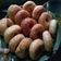 Cooksnap dari Atiin untuk resep Donat lembut ala jco