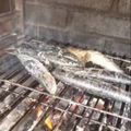Cooksnap de Regina Fidalgo quando cozinhou Sardinhas assadas.