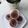 Cooksnap dari Dwi W untuk resep Puding Oreo Cup
