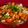 Anita Desai's cooksnap of when they made टोमॅटो कांदा कोशिंबीर (Tomato kanda koshimbir recipe in marathi).