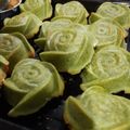 Cooksnap dari Novi R untuk resep Bolu Panggang Pokcoy Gluten Free