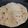 Ragni का कुकस्नैप जब उन्होंने तंदूरी रोटी (tandoori roti recipe in Hindi) बनाया था।