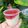 Cooksnap dari Ila Nurfadillah untuk resep Puding Susu Strawberry