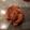 Charlien Pitout's cooksnap of when they made Apple Rose Pastry.