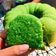 Cooksnap dari Edah Lebiez untuk resep Bolu Pandan Panggang Sederhana